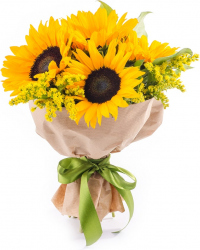 Букет «Луч солнца» Букет «Луч солнца»